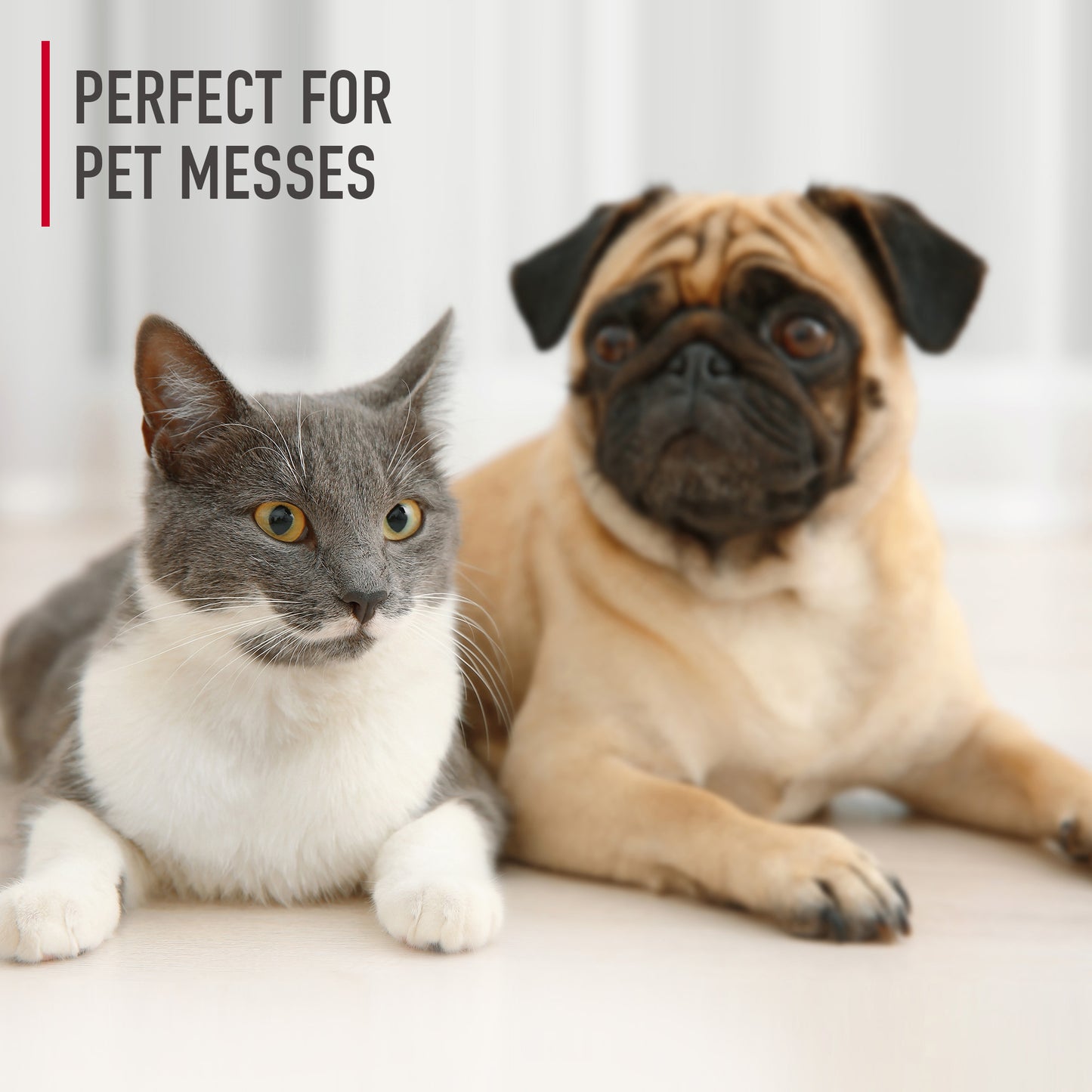 Formule de nettoyage de tapis contre les taches et les odeurs d'animaux domestiques 64 oz.