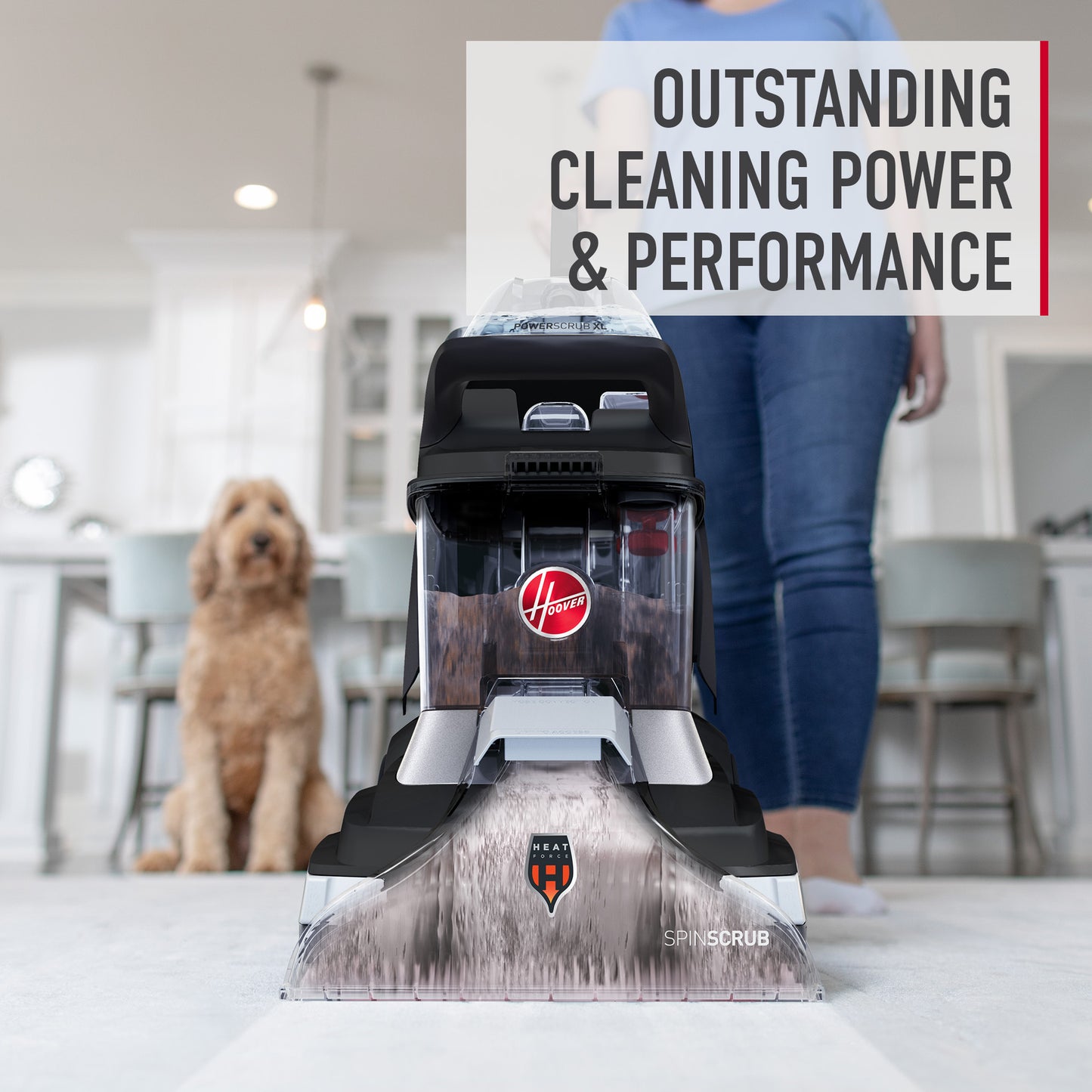 Formule de nettoyage de tapis Oxy 50 oz.