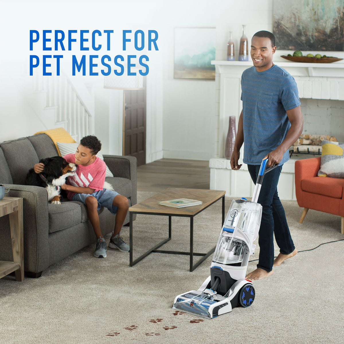 Smartwash Carpet Cleaner