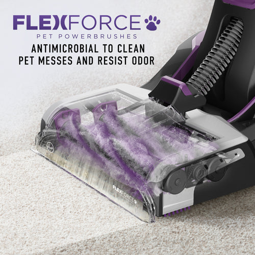 SmartWash PET Complete Automatic Carpet Cleaner4