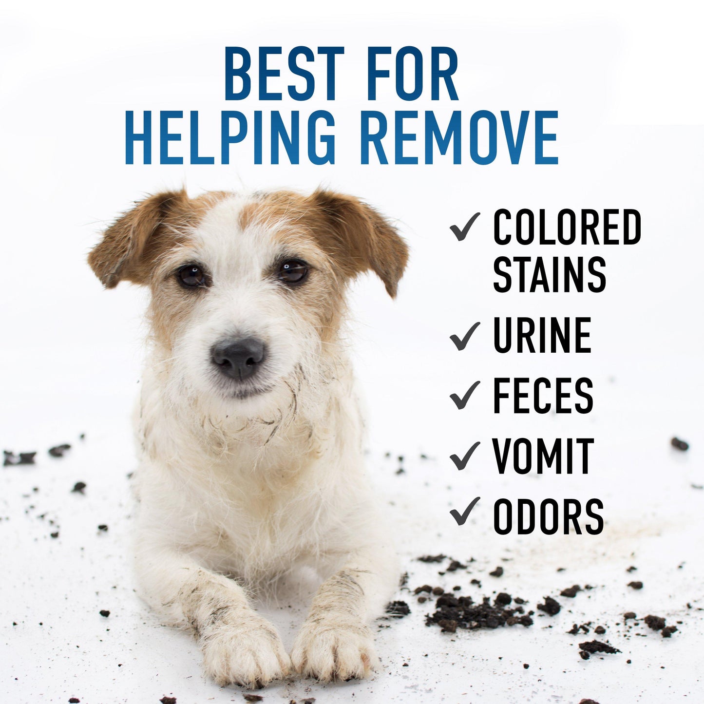 CleanSlate Pet Spot Cleaner + Oxy Formulas Bundle
