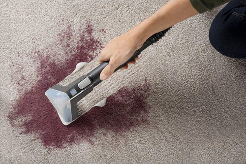 Power Scrub Elite Carpet Cleaner6