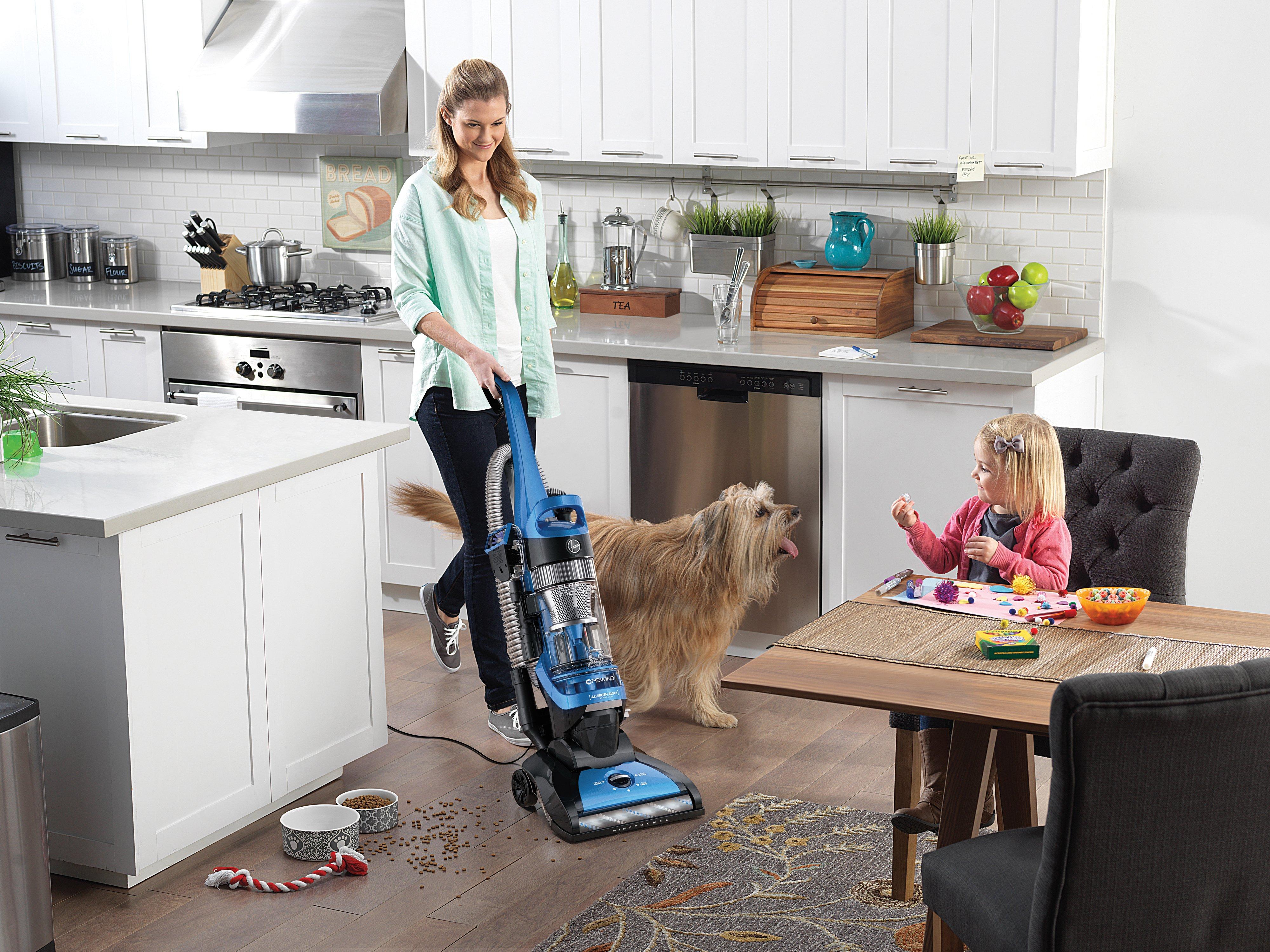 Hoover whole house rewind pet deals filter